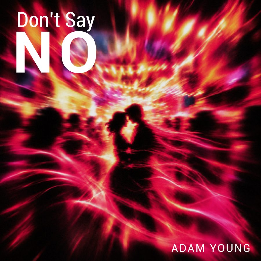 Don't Say No cover art