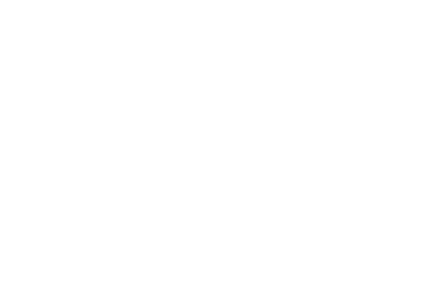 Adam Young